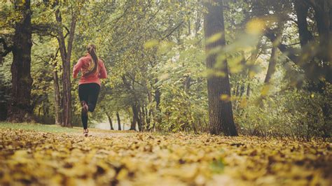 Running In The Fall 5 Tips For Road And Trail Safety Advnture