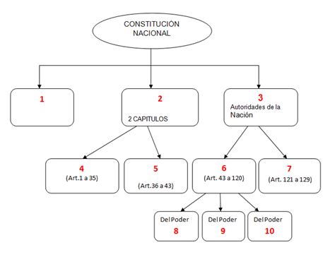 Cuadro De La Estructura De La Constitucion Nacional Xili