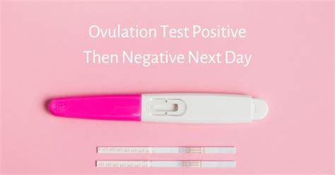Ovulation Test Positive Then Negative Next Day Reason And To Do