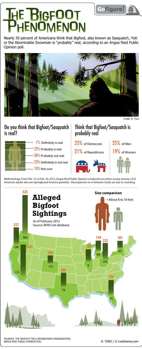 Tracking Belief In Bigfoot Infographic Live Science