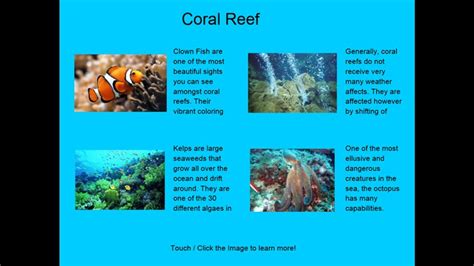 Some of the most colorful of earth's 32,800 species of fish live on coral reefs. Four Coral Reef Ecosystem Facts! for Windows 8 and 8.1