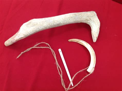 Stone Age Antler Pick Wild Boar Tusk And Bone Needle Wild Boar Stone