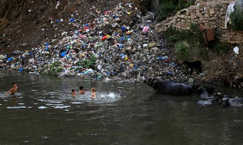 Top 199 How Does Animal Waste Affect Water Pollution