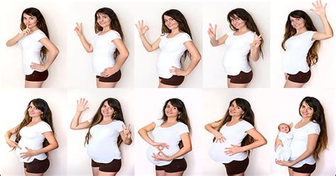 Developmental Stages Of Pregnancy Month By Month
