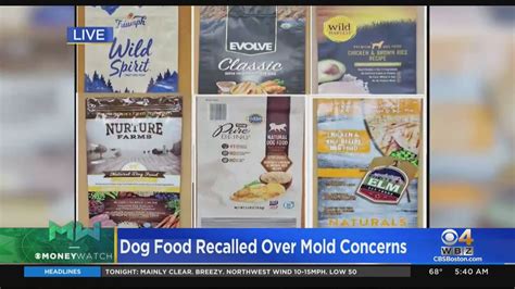 Was There A Recall On Rachael Ray Dog Food