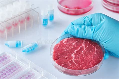 Meat Sample In Open Disposable Plastic Cell Culture Dish In Modern