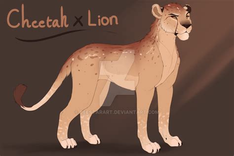Cheetah X Lion Design Auction Closed By Beestarart On Deviantart