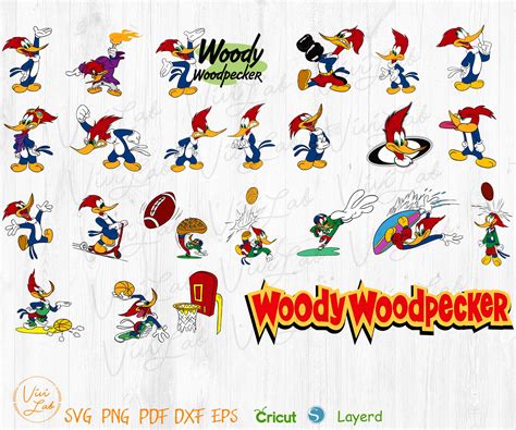 Woody Woodpecker Clipart Svg Png Vector