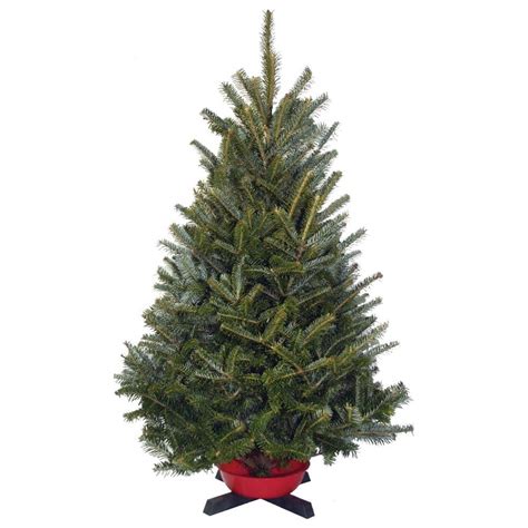 3 4 Ft Live Freshly Cut Balsam Table Top Christmas Tree With Stand