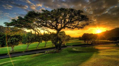 Amazing Sunset Over The Beautiful Park Natrure Wallpaper