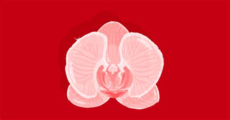Image Of Gappy Vagina Detailed Nipples Big Boobs Chinese Mythology My