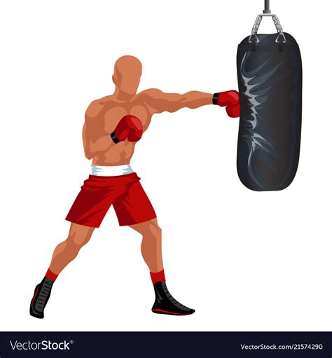 Sportsman Boxing Punching Bag Professional Boxer Vector Image