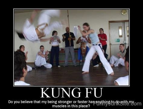 Funny Kung Fu Pictures Kung Fu Master