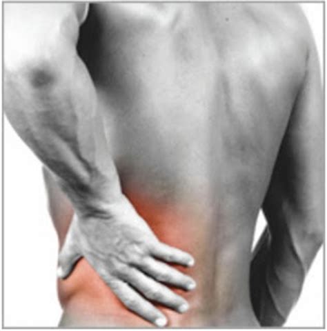Thrombocytes or platelets are tiny cells formed in the bone marrow. Lower Back Pain Kidney