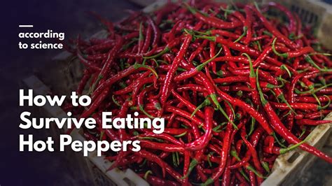 How To Survive Eating Hot Peppers According To Science Youtube
