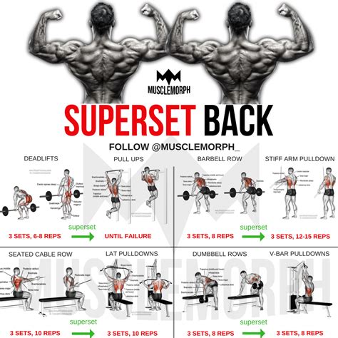 Anatomy posters and anatomy charts. superset back back workout bodybuilding gym musclemorph ...