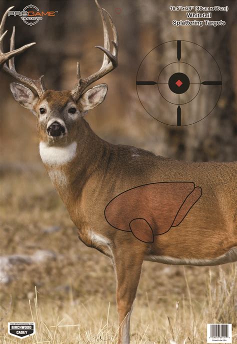Murdochs Shooting Made Easy Vital Point Deer Target Champion X Ray