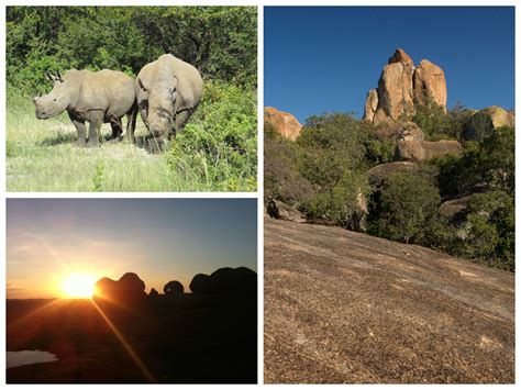 A Collage Of What You Can Expect To See When You Visit Matobo National