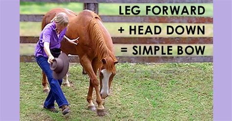 10 Simple Tricks You Should Teach Your Horse