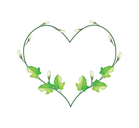Heart Vine Clipart Free Download On Clipartmag