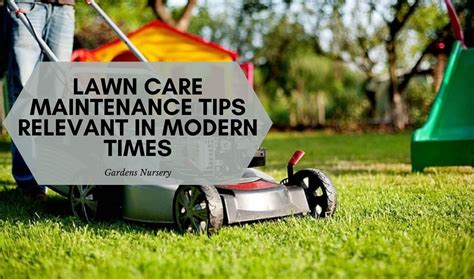 Top Lawn Care Maintenance Tips For Modern Times Gardens Nursery