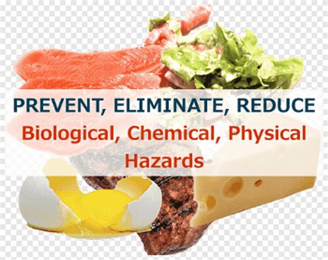 Hazard Analysis And Risk Based Preventive Controls Hazard Analysis And