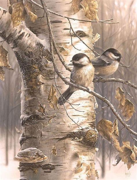 Wildlife Paintings Birds Painting Art Works Chickadees Animals