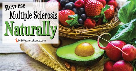 Reverse Multiple Sclerosis Naturally Ms Wellness Route