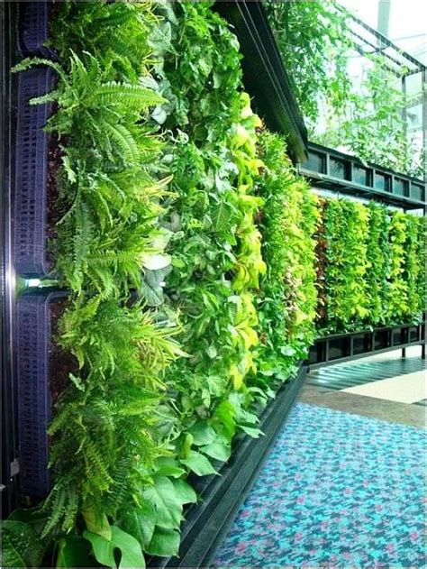 Gorgeous 30 Vertical Hydroponics Gardening Ideas Gardenmagz