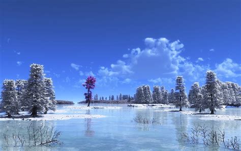 Winter Frozen Lake 3d Wallpaper ~ Digitalart