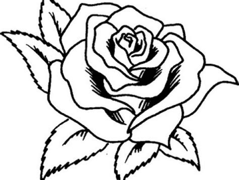 Rosa Para Pintar Dibujos De Rosas Dibujo De Rosas Diseños De Arte