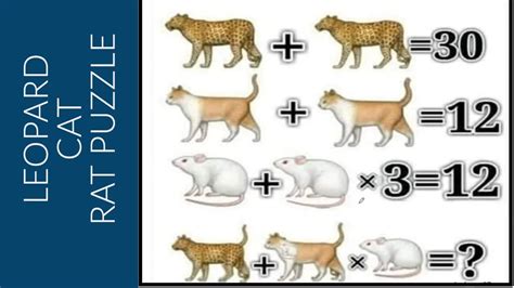 English Audio Leopard Cat Rat Puzzle Maths Puzzle Step By Step