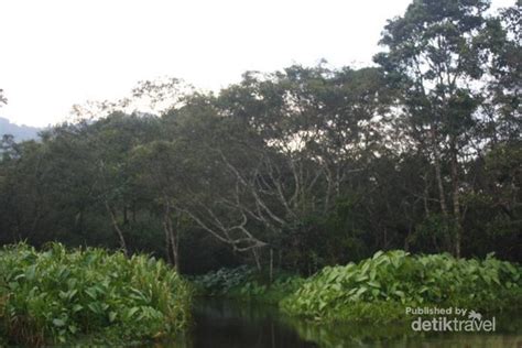 Rawa danau terletak di mancak kabupates serang. Wisata Rawa Dano Serang - 10 Tempat Wisata Di Banten Yang ...