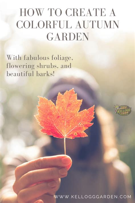 Create Colorful Fall Garden Kellogg Garden Organics™