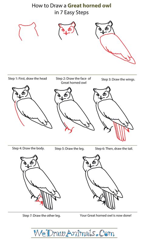 Https://tommynaija.com/draw/how To Draw A Big Big Owl