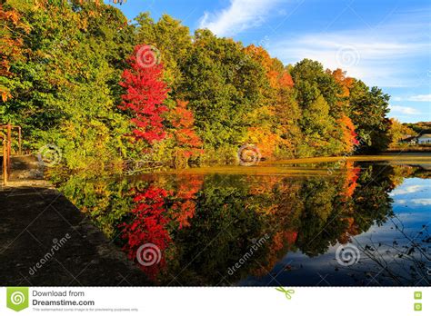 Fall Leaf Reflection In Pond On A Sunny Day In Autumn Stock Image