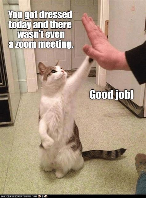 Good Job Lolcats Lol Cat Memes Funny Cats Funny Cat Pictures