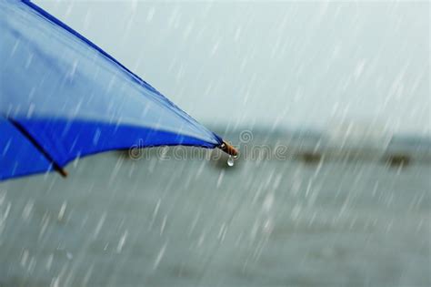 Blue Umbrella Under Rain Near River Stock Image Image Of Beauty Copy