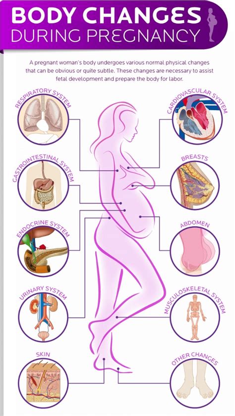 Bodily Changes You Can Expect During Pregnancy Fabmoms Prenatal