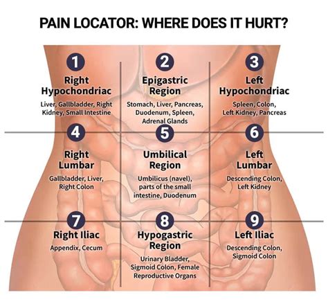 Female Lower Left Abdominal Pain