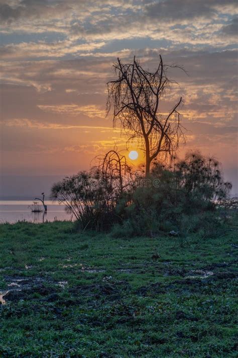 Beautiful African Landscape At Sunset Stock Photo Image Of Beauty