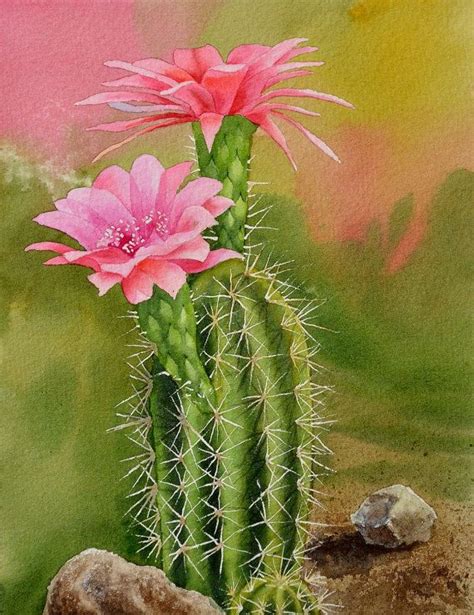 Cactus Original Wtercolor Painting Cactus Painting Watercolor Flower