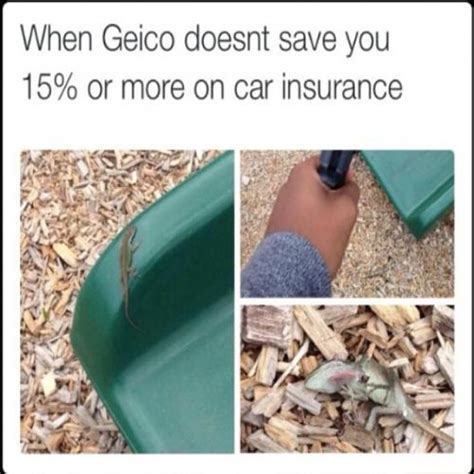 Government employees insurance company is responsible for this page. When Geico doesnt save you 15% or more on car insurance