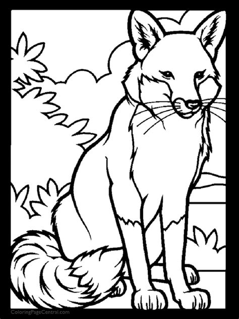 fox  coloring page coloring page central
