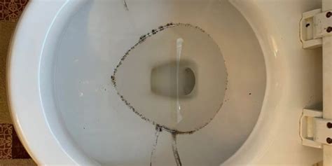 Black Sediment In Toilet Bowl Water How To Fix It