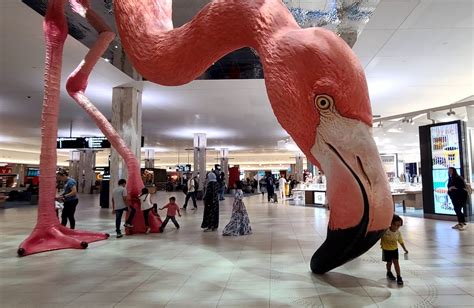 Tampa International Airport Wants You To Name The Big Flamingo Tampa