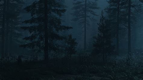 My Attempt At A Realistic Dark Forest Theme Blender