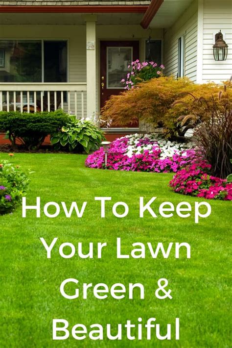 If your lawn is looking a little tired and you are looking to make your lawn greener and lusher. How To Keep Your Lawn Green And Beautiful