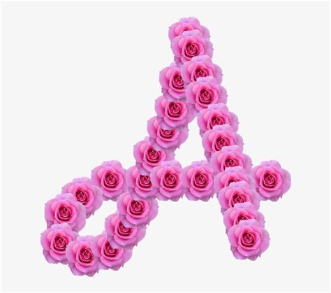 Alfabeto Decorativo Rosas Png Garden Roses Free Transparent Png
