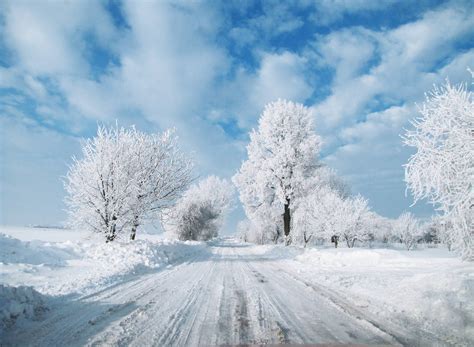 Snowy Winter Wallpapers High Quality Download Free